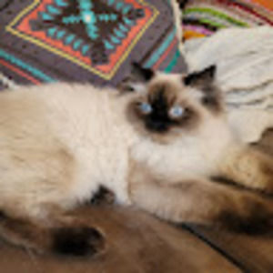 Meet your Posher, Nancy